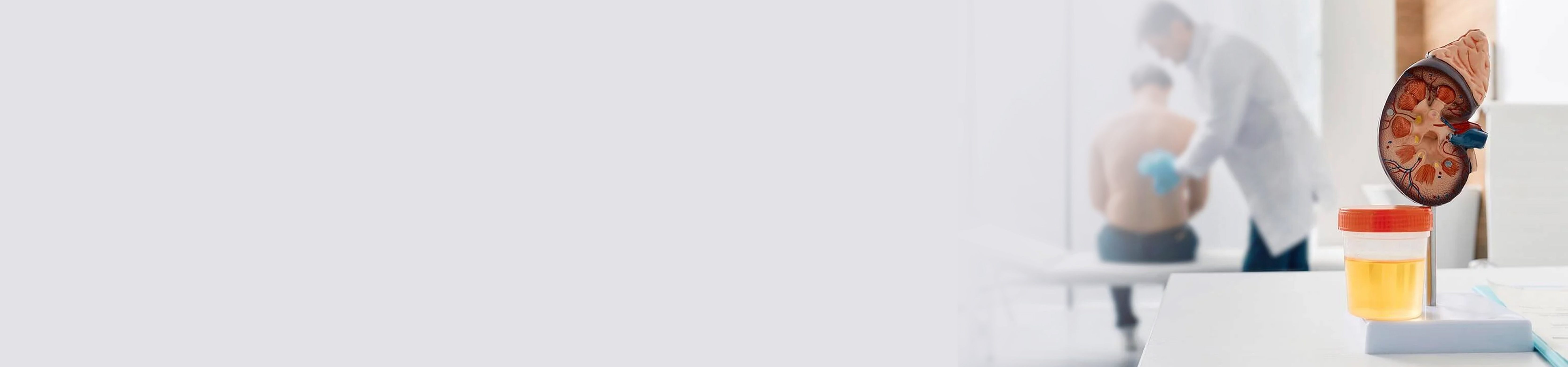 Top Urologists in Banjara Hills