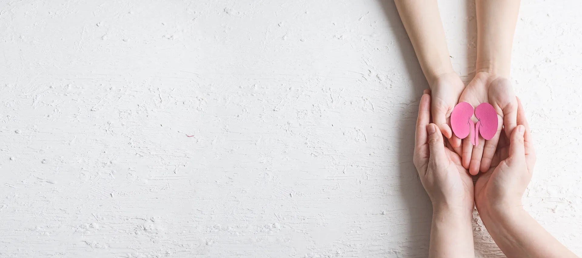 Top Kidney Transplant Specialists in Hyderabad