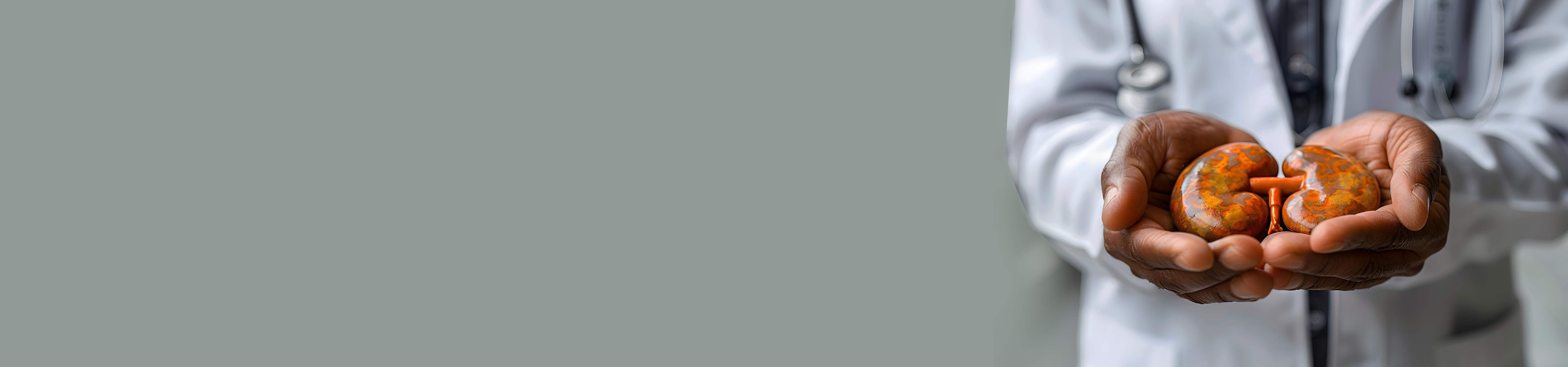 Top Kidney Transplant Specialists in Banjara Hills