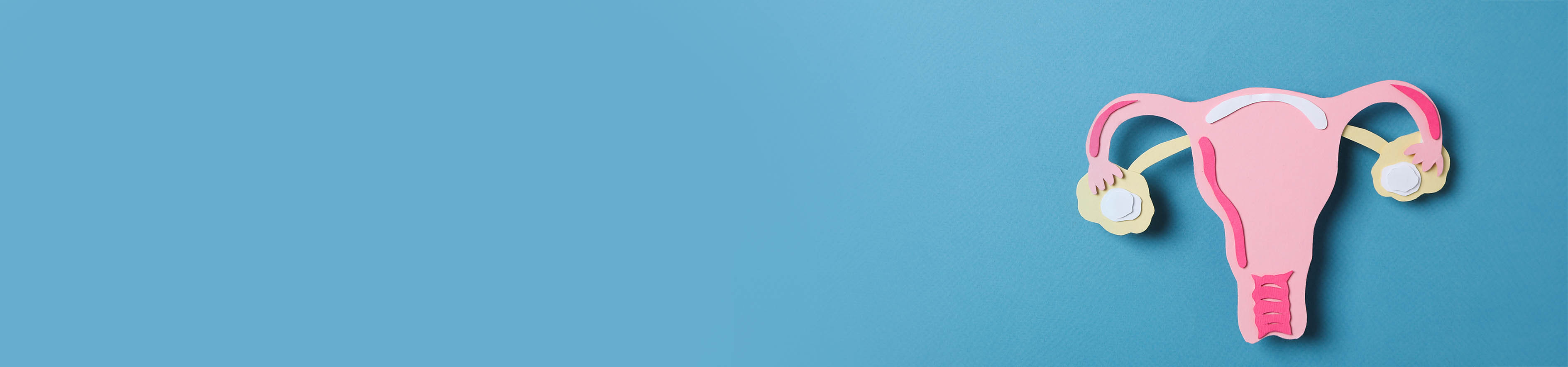 Top Obstetrics and Gynaecologists in Nanakramguda