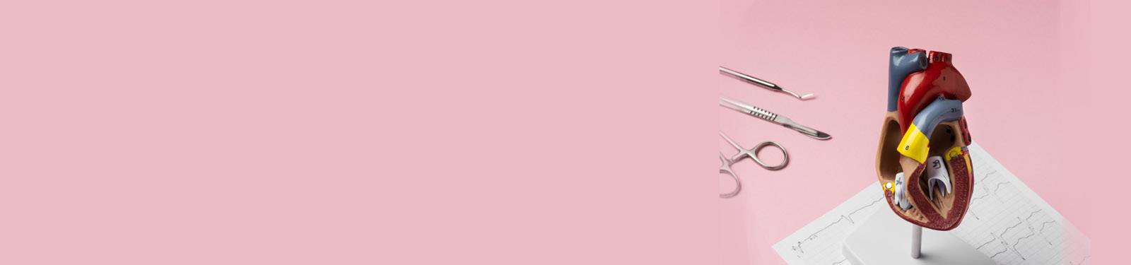 Cardiothoracic Surgery in Hyderabad